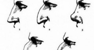Šta o našem karakteru “kazuju” oči i nos: Naivne osobe imaju prćast nos, vizionari crne oči, a radoznali – upadljiv i šiljast nos