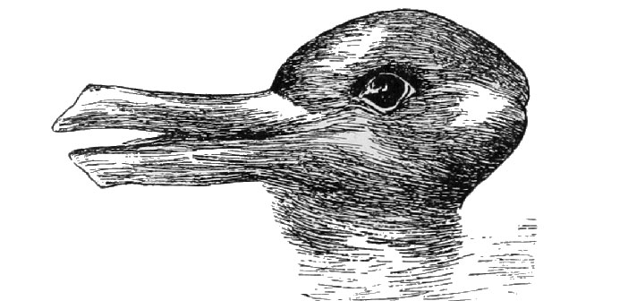 Nije jednostavno: Vidite li na slici patku, zeca ili oboje – i što to govori o vama?