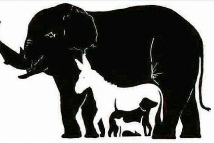 MALO DA SE OPUSTITE: Koliko životinja vidite na slici?