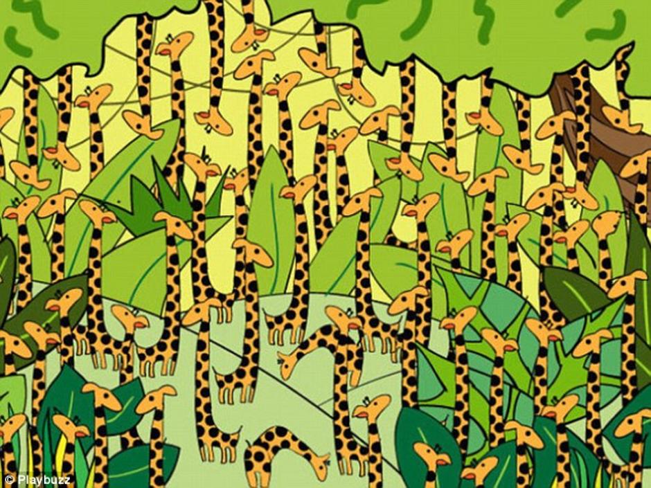 TEST ZAPAŽANJA: Možete li pronaći zmiju među žirafama?