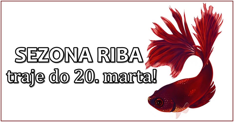HOROSKOP: Do 20. marta traje SEZONA RIBA: Ove znakove CEKA RAZOCARENJE!