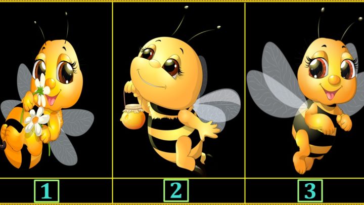 Srećna pčelica ti ispunjava jednu želju:Izaberi jednu i saznaj koju!