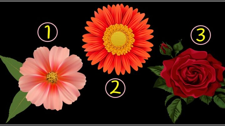 Izaberi CVIJET i saznaj svoju SUDBINU,ali BIRAJ PAZLJIVO jedan cvijet nosi BOLNO TRNJE koje ce ti donijeti VELIKU TUGU!