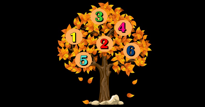 JESENJE DRVO ZELJA:Izaberi broj i saznaj hoce li se OSTVARITI ONO STO ZELIS  najvise do kraja jeseni!