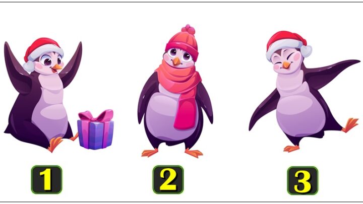 Izaberi pingvina i saznaj sta vas ceka do kraja januara:Tuga, sreca, trzavice!