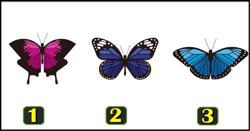 Izaberi leptira i saznaj sta ce vam se lepo desiti u prvim danima marta!